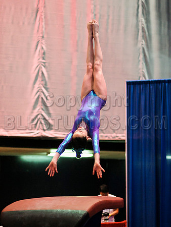 HSM_1595