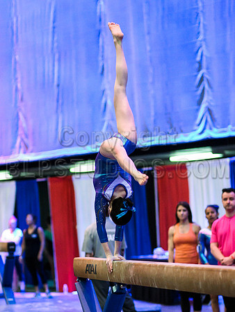 HSM_0603
