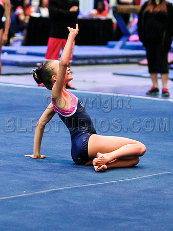 HSM_1554
