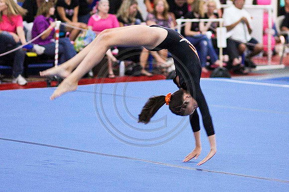 TAZ11541