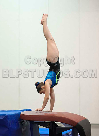 HSM_5311