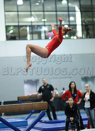 HSM_4637