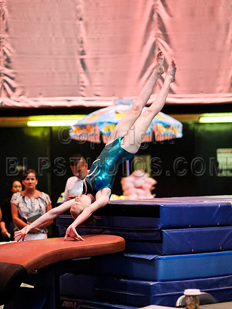 HSM_0294