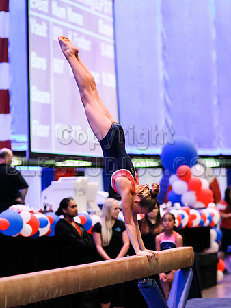 HSM_1319