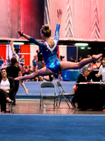 HSM_1105