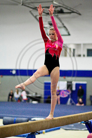 TAZ20102