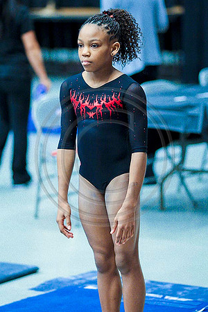 TAZ20353