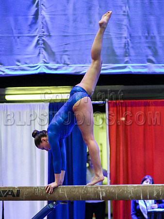 HSM_0537
