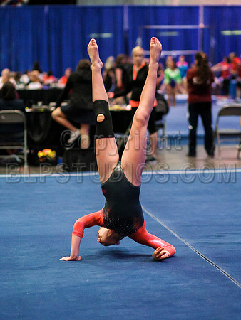 HSM_1031