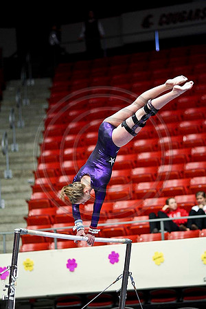 TAZ20112