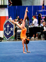 HSM_3536