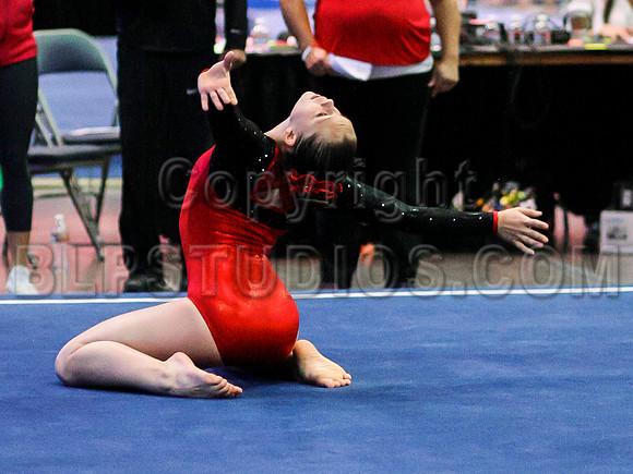 HSM_0292