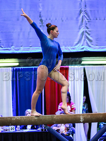 HSM_0565