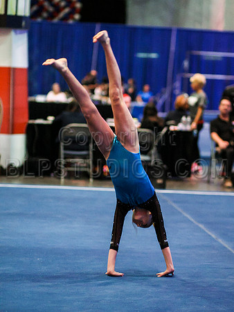 HSM_0629
