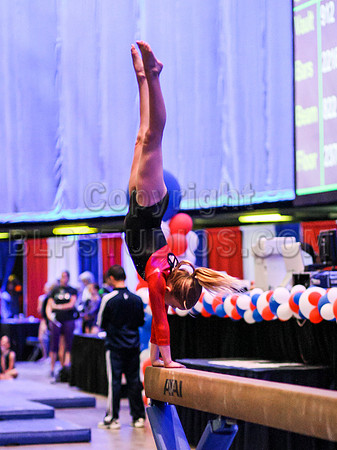 HSM_4597