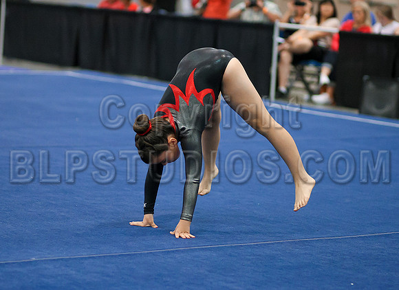 HSM_1415