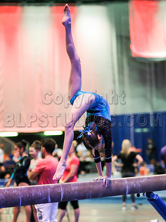 HSM_0258