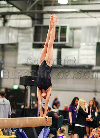 HSM_0965