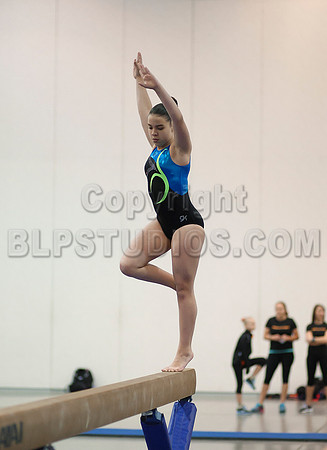 HSM_4715
