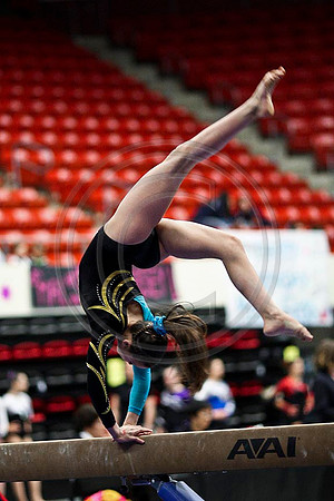 TAZ20014 (1)