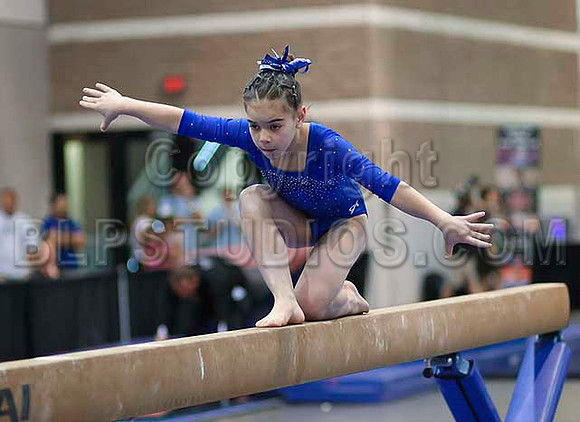 HSM_1734