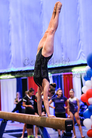HSM_0492