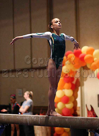 HSM_0395