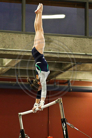 TAZ12912
