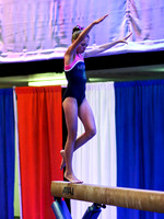 HSM_1223