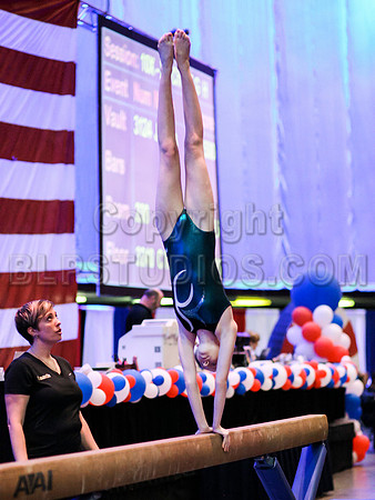 HSM_0591