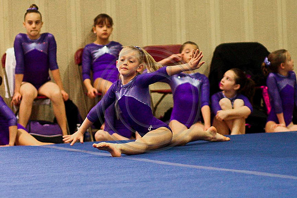 TAZ17395
