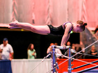 HSM_4433