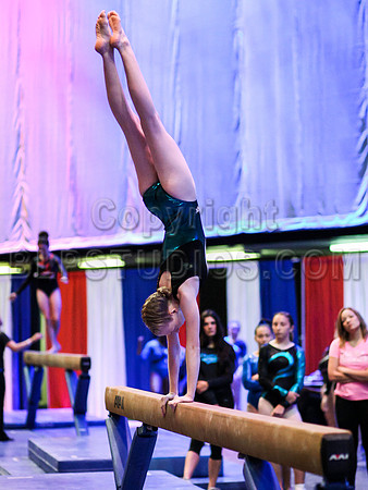 HSM_0687