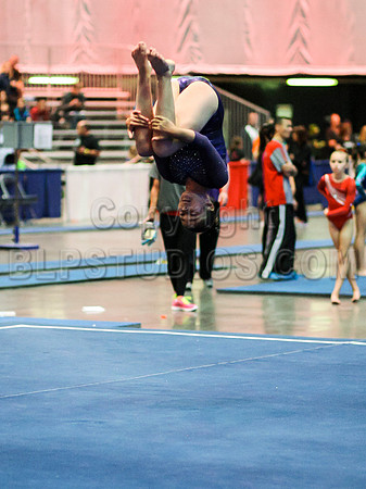 HSM_0823