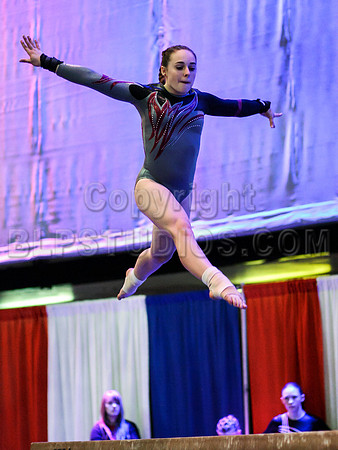 HSM_1582