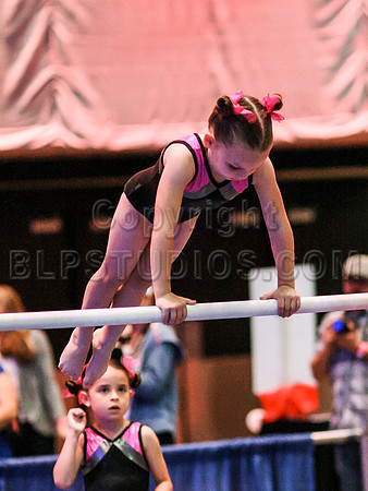 HSM_4387