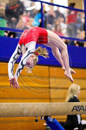 TAZ20171