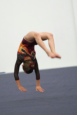 TAZ25565