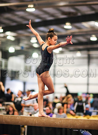 HSM_1261
