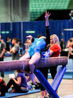 HSM_0243
