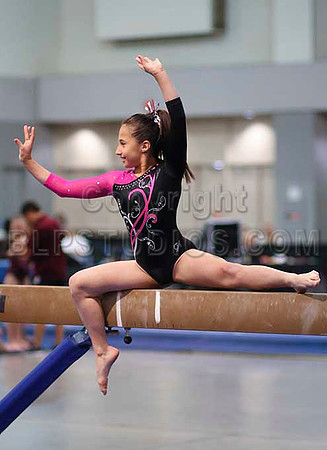 HSM_3520
