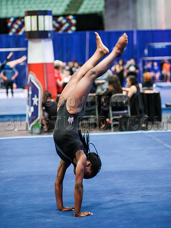HSM_0047