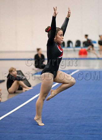 HSM_1429