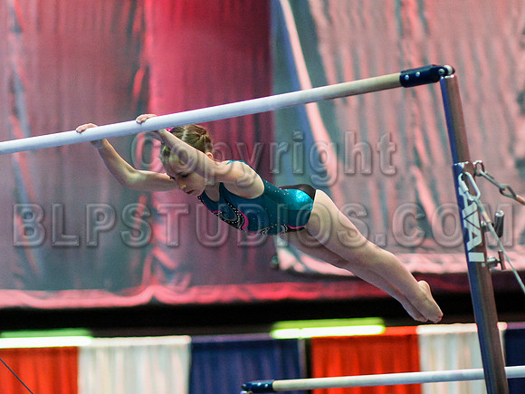 HSM_0337