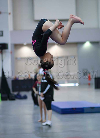 HSM_3574