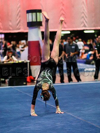 HSM_1476