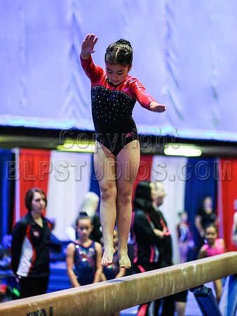 HSM_4375