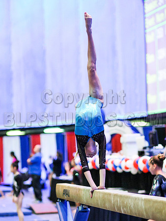 HSM_9913