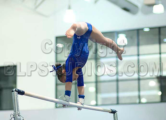 HSM_1396