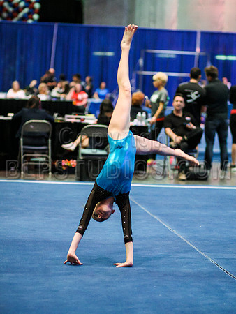 HSM_0628